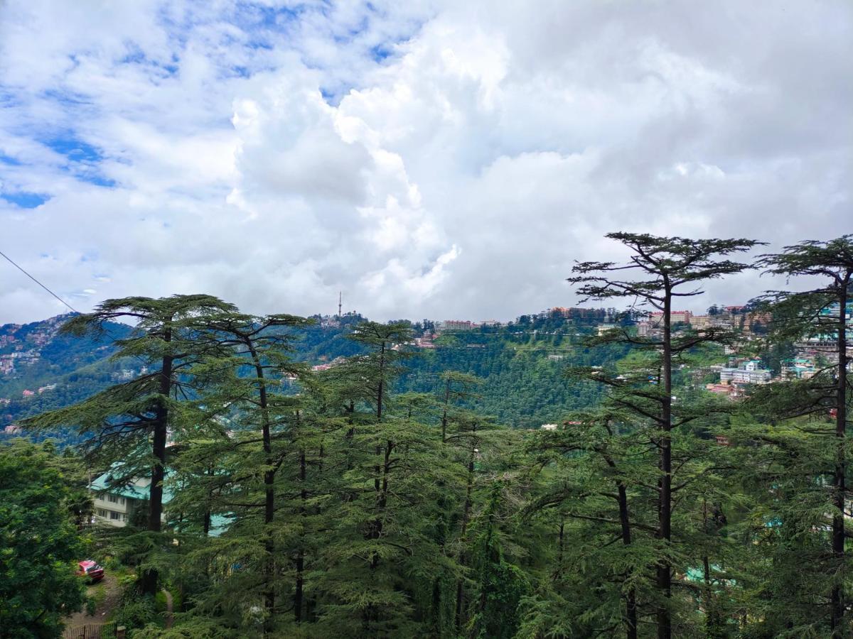 Magic Stays - Shimla Royale - Free Pickup From Railway Station Shimla Zewnętrze zdjęcie